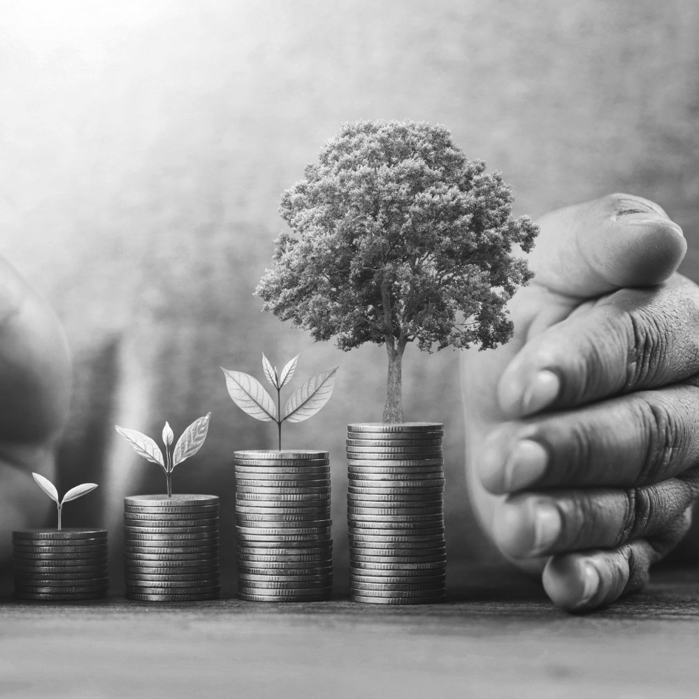 Why Choose PipStockPro